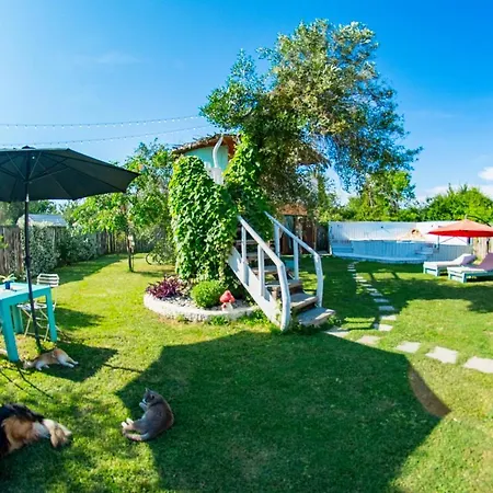 فيلة Elmar Tree House