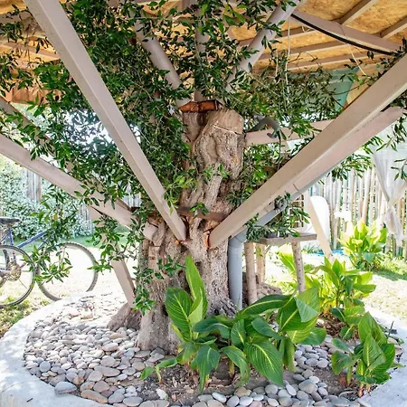 Elmar Tree House 别墅 *